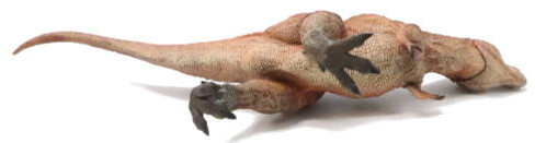 Haolonggood Tyrannosaurus Rex Brown - Belly View