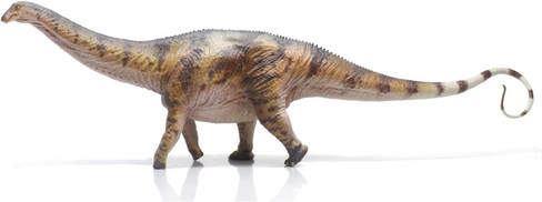 Apatosaurus - Shijing (Haolonggood)