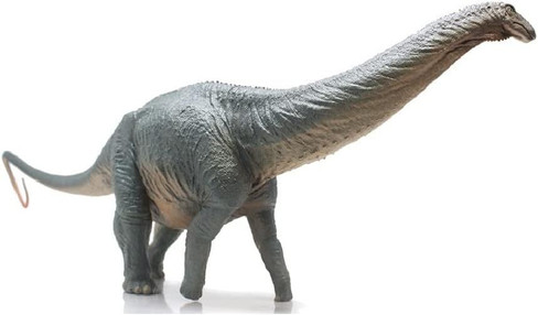 Apatosaurus - Huangxin (Haolonggood)