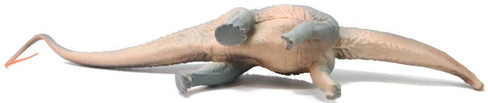 Haolonggood Apatosaurus Huangxin - Under Belly View