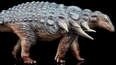 Edmontonia - Jiezhen (Haolonggood)