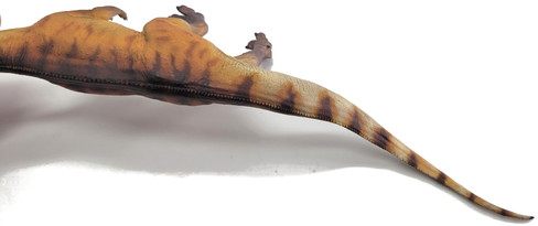 Yangchuanosaurus shangyouensis - Dayong (PNSO)