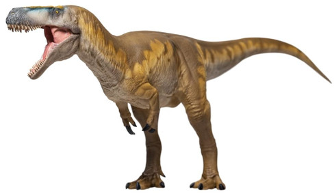 Megalosaurus Edward (PNSO)