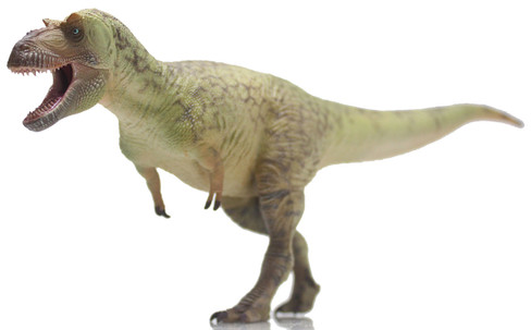 Daspletosaurus torosus - Wu song (Haolonggood)