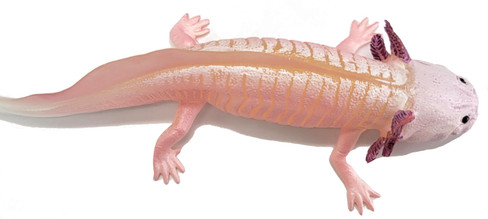 Axolotl (Safari Ltd.)