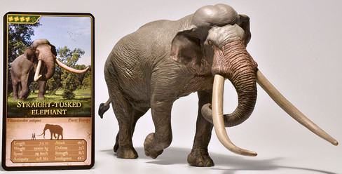 Palaeoloxodon - Straight-tusked elephant (EoFauna)