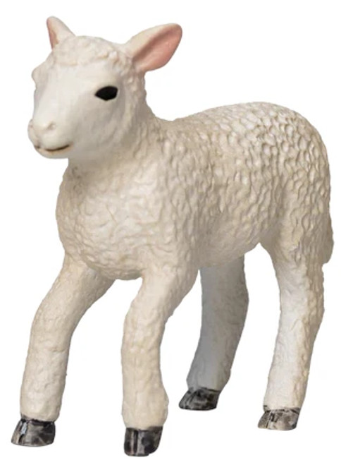 Sheep - Romney Lamb Running (Mojo)