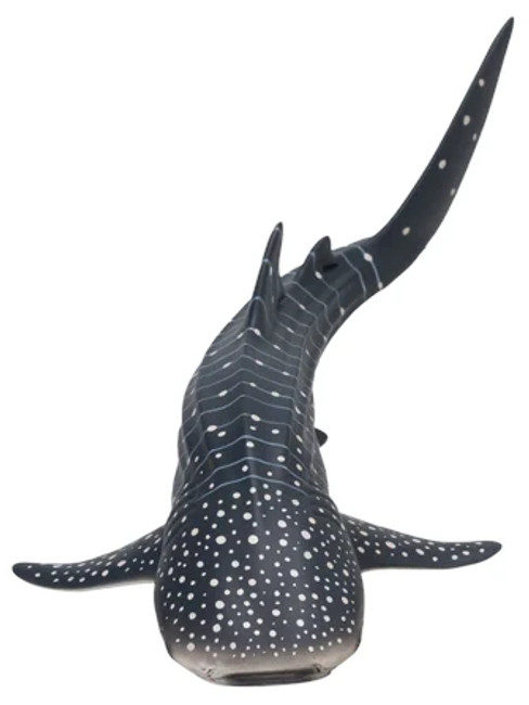 Whale Shark (Mojo)