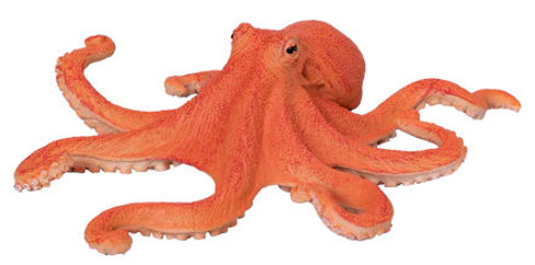 Octopus New 2024 (Mojo)