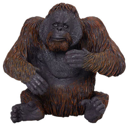 Orangutan (Mojo)