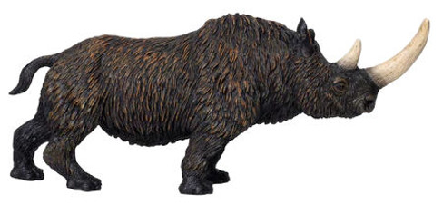 Woolly Rhino (Mojo)