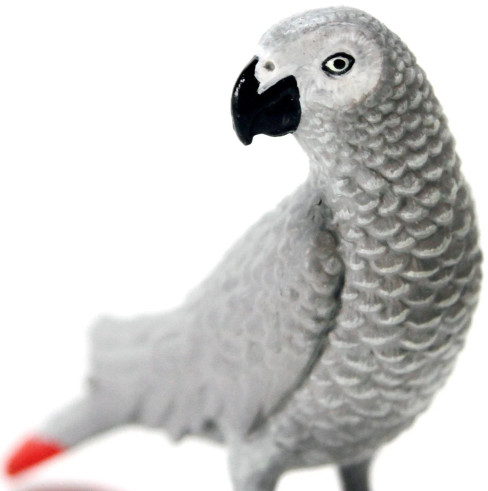 Parrot - African Grey (Safari Ltd.)