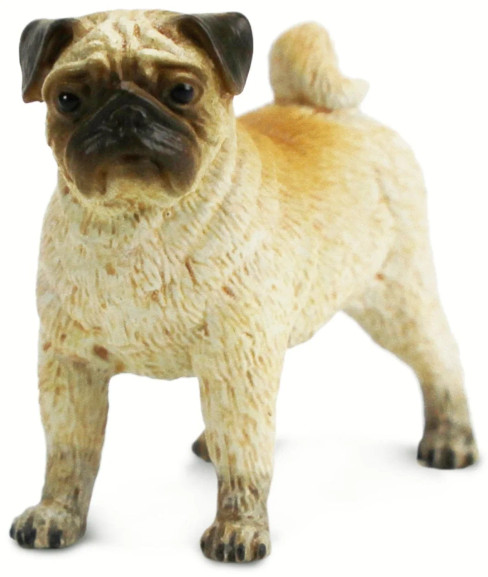Safari Ltd. Pug Dog Figure - Front View