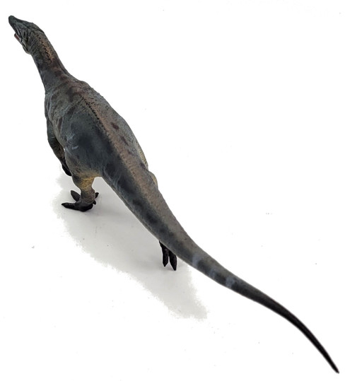 Megaraptor - Shi Qian (Haolonggood)
