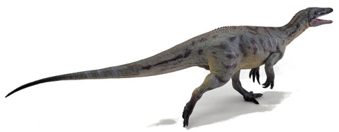 Megaraptor - Shi Qian (Haolonggood)