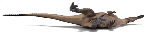 Haolonggood Baryonyx - Wei Ding Guo - Belly View