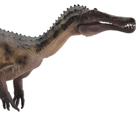 Haolonggood Baryonyx - Wei Ding Guo - Face - Closed Mouth