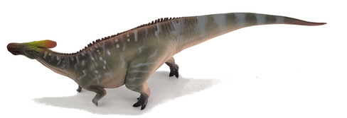 Haolonggood Tlatolophus Galorum - An Dao Quan - Right Side View
