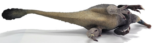 Deinocheirus Blue Grey (Haolonggood)