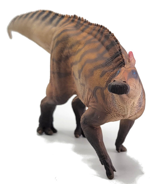 Edmontosaurus Zabad (PNSO)