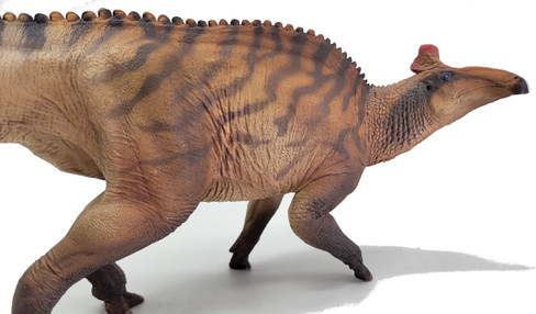 Edmontosaurus Zabad (PNSO)