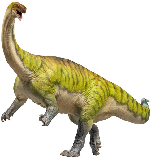 Lufengosaurus - Yiran (PNSO)