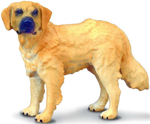 Dog - Retriever Golden (CollectA)
