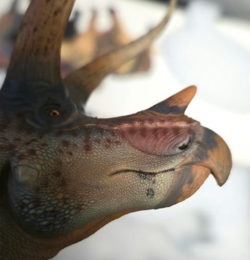 Triceratops - Hu Yan Zhuo - Paint Defect (Haolonggood) Triceratops - Hu Yan Zhuo - Paint Defect (Haolonggood)