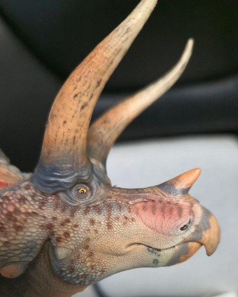 Triceratops - Hu Yan Zhuo - Paint Defect (Haolonggood) Triceratops - Hu Yan Zhuo - Paint Defect (Haolonggood)