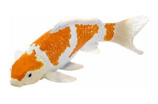 Mojo Sealife - Ochiba Shigure Gold & White Koi #381104
