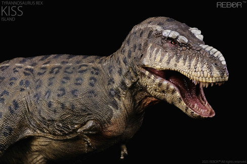 REBOR スミロドン REBOR - Tyrannosaurus rex Kiss Island #161175 - Striking Spots