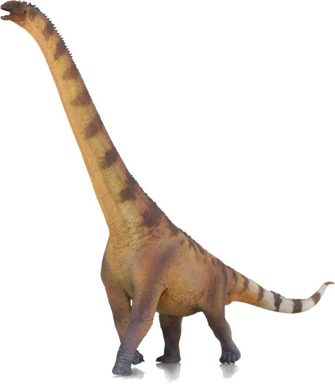 Haolonggood Euhelopus - Jiang Jing #175 image right side view