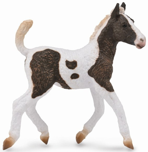 CollectA American Bashkir Curly Foal #88781 - Manufacturer Hero Image