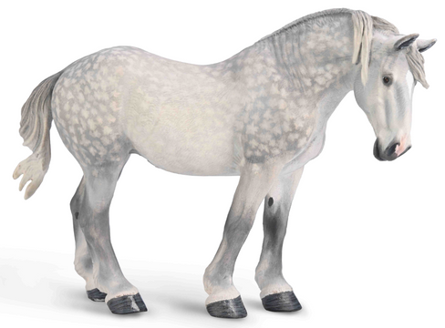 CollectA Percheron Mare #80029 - Manufacturer Hero Image