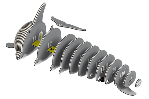 EUGY Dolphin 3D Puzzle #021  - construction image