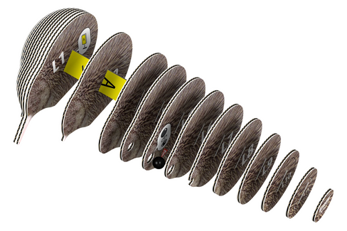 EUGY Kiwi 3D Puzzle #001 - construction image