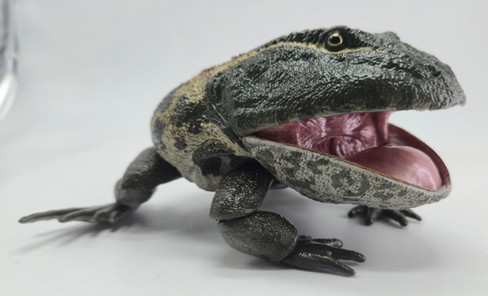 REBOR Beelzebufo ampinga “Goo Goo Doll” Swamp Version  side view mouth open