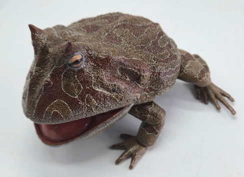 REBOR Beelzebufo cornuta “Little Feet” Rainforest Version #161199 mouth open