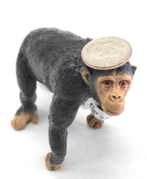 Schleich Chimpanzee #14883 image coin hat