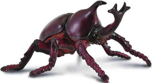 Beetle - Rhinoceros (CollectA)