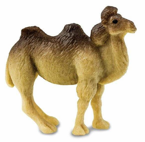 Safari Ltd. - Camel Good luck Mini #353022 hero image Safari Ltd. - Camel Good luck Mini #353022 hero image