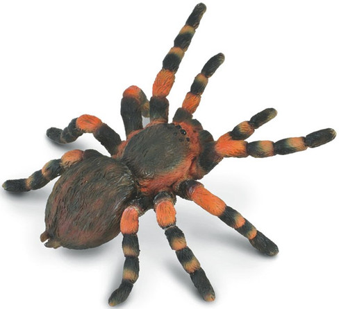 Spider - Mexican Redknee Tarantula (CollectA)