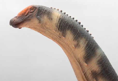 Haolonggood Brontosurus  - Du Weng Zhong #182 image majestic dinosaur