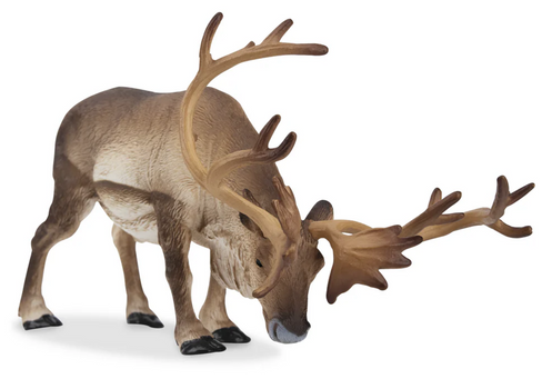 Toymany - Caribou  #00362 front image