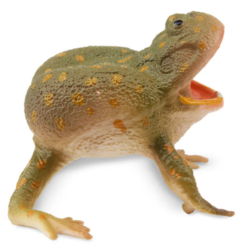 Toymany - Budgett's Frog #00390 side image