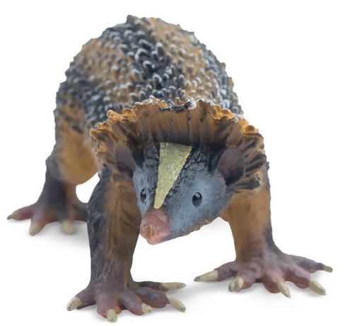 Toymany - Lowland Streaked Tenrec #00419 front image