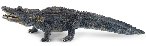 Toymany Alligator #00321 side image