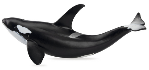 Toymany - Orca #00365 hero image