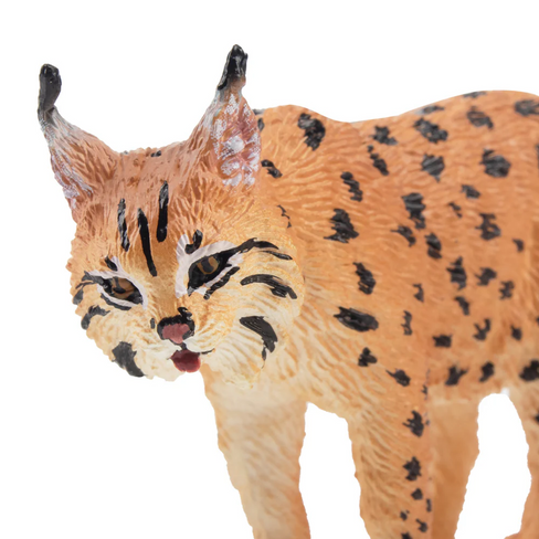 Toymany - Lynx #00324 Zoom Image