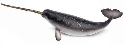 Toymany - Narwhal #00370 hero image